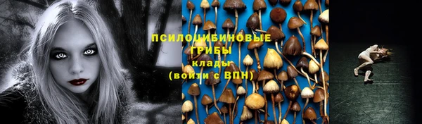 2c-b Нягань