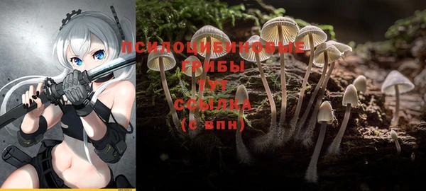 кокаин колумбия Абаза